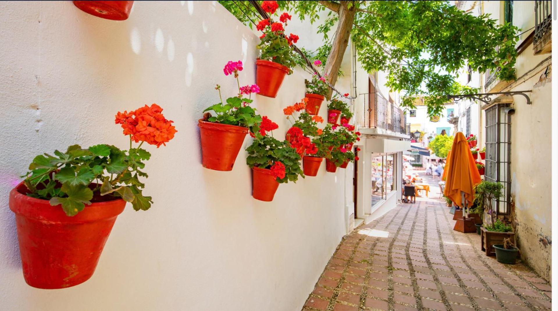 Apartment In Golden Mile / Puerto Banus *